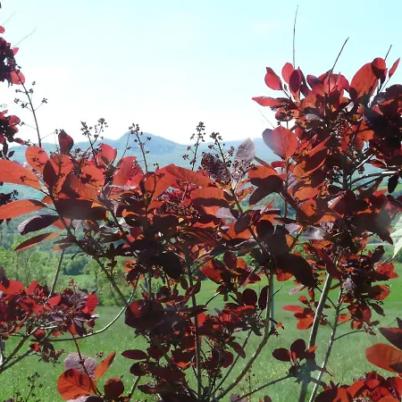 Bed & Breakfast Liudmila BB Viazzano *