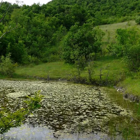 Bed & Breakfast Liudmila BB Viazzano *
