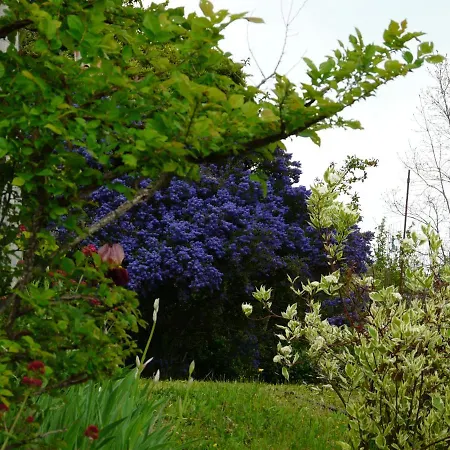 Bed & Breakfast Liudmila BB Viazzano *
