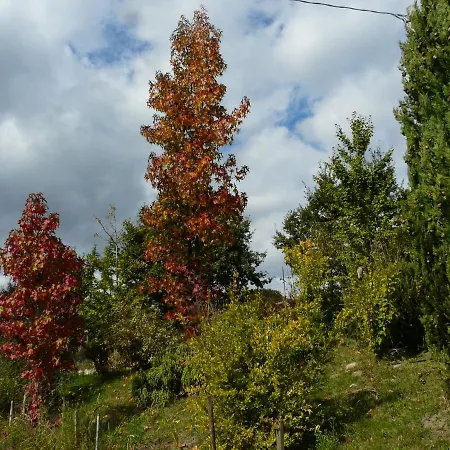 Liudmila BB Viazzano Roccalanzona